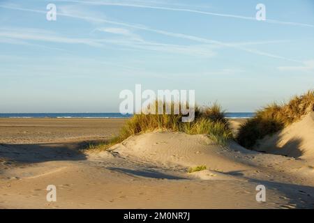 Sandy beach with solitary dunes overgrown with marram grass at IJmuiden in the Netherlands with in the background the North Sea and beautiful sky met Stock Photo