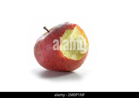 Bitten fresh organic apple piece with juicy fruit pulp, red skin and stem, isolated with shadow on a white background, copy space Stock Photo