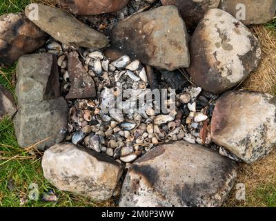 Remains of shellfish beach barbecue site with ring of stones for a hearth containing ashes and empty mussel and winkle shells, Scotland, UK Stock Photo