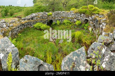 Ruined circular walls of Totaig Broch (Caisteal Grugaig) an ancient Scottish iron age roundhouse, Letterfearn, Highland, Scotland, UK Stock Photo