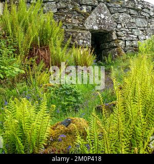 Entrance doorway in ruins of Totaig Broch (Caisteal Grugaig) an ancient Scottish iron age roundhouse, Letterfearn, Highland, Scotland, UK Stock Photo