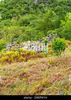 Ruined walls of Totaig Broch (Caisteal Grugaig) an ancient Scottish iron age roundhouse, Letterfearn, Highland, Scotland, UK Stock Photo