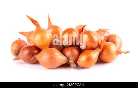 Brown mini onions isolated on a white background. Raw onion bulbs, for cultivation. French onion Stock Photo