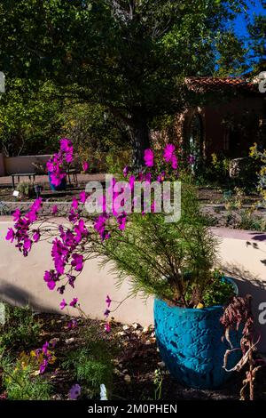 Beautiful gardens of La Posada, a restored hotel on Route 66 in Winslow, Arizona, USA [No property release; editorial licensing only] Stock Photo