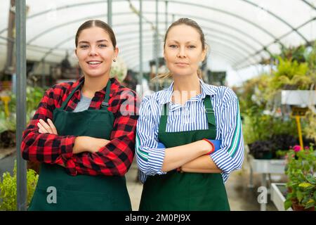 Portrait of two professional female florists standing with crossed hands on chest in greenhouse Stock Photo