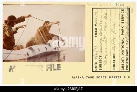 Seining fish for study in lake near the Cutler River. Alaska Task Force ...