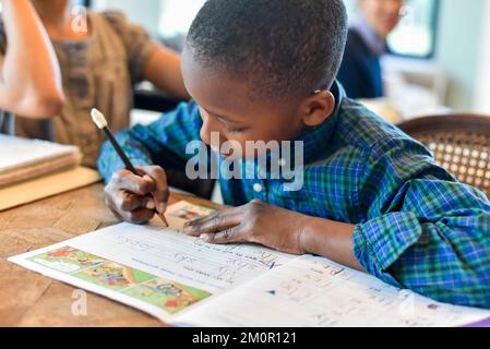 little boy being tutored at home, doing homework learning new things and new teaching techniques Stock Photo