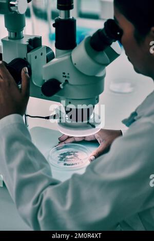 She could make a ground breaking discovery today...an unrecognizable female scientist using a microscope while working in a laboratory. Stock Photo
