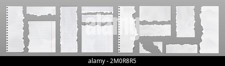 Paper Riped Math Torn of white lined, math note, notebook paper strips, pieces stuck ...