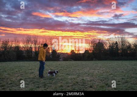 Wadebridge, Cornwall, UK. 8th December 2022. UK Weather. Dennis the Pug out for his morning walk at sunrise,  after a very cold night in North Cornwall. Credit Simon Maycock / Alamy Live News. Stock Photo