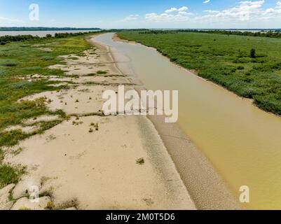 France, Gironde, Gironde estuary, Ile Nouvelle, 6.3 km long between Pauillac and Blaye, property of the Conservatoire du Littoral, it is a major site for birds with nearly 190 species recorded in 2018 Stock Photo