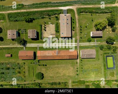 France, Gironde, Gironde estuary, Ile Nouvelle, 6.3 km long between Pauillac and Blaye, property of the Conservatoire du Littoral, it is a major site for birds with nearly 190 species recorded in 2018 Stock Photo