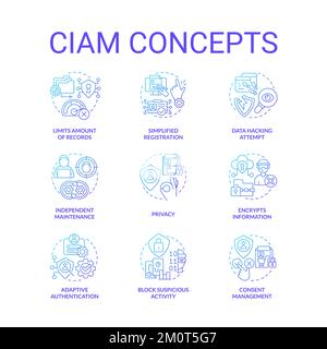 CIAM blue gradient concept icons set Stock Vector