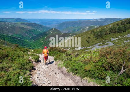 Spain, Principality of Asturias, municipality of Allande, hike on the Camino Primitivo, Spanish pilgrimage route to Santiago de Compostela Stock Photo