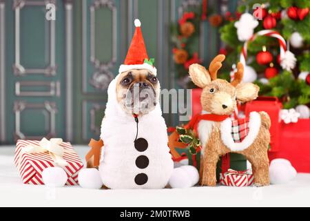 Funny French Bulldog wearing Christmas snowman costume and Santa hat in front of seasonal decoration Stock Photo