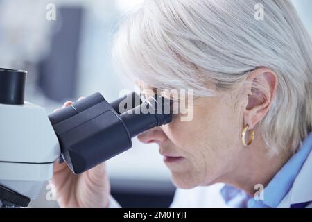 What will she find. a mature scientist using a microscope in her lab. Stock Photo