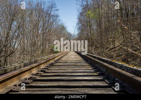 Abandoned train tracks in the middle of a forest, view looking down tracks. Stock Photo