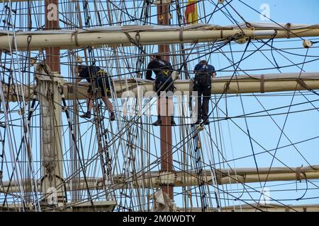 Las Palmas, Gran Canaria, Canary Islands, Spain. 8th December, 2022. Crew making repairs high on the rigging on Norwegian training ship, Sorlandet; the world's oldest and most authentic fully-rigged ship still in active service. The ship was built in 1927. Credit: Alan Dawson/Alamy Live News Stock Photo