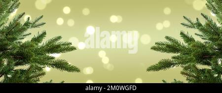 Christmas tree branches against blurred lights green background. Stock Photo