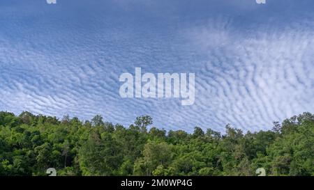 Scenic landscape view of tropical forest on mountain ridge with blue sky and clouds looking like waves in the sea, Chiang Dao, Chiang Mai, Thailand Stock Photo