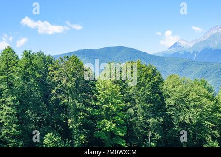 Mountain landscape with pathway to snowy top against sky Stock Photo