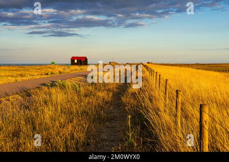 Rye Harbour Nature Reserve at sunset Hut with red roof Red Roofed Hut Rye Harbour Rye East Sussex England UK GB Europe Stock Photo