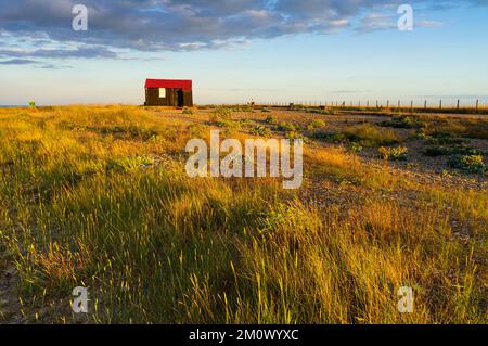 Rye Harbour Nature Reserve at sunset Hut with red roof Red Roofed Hut Rye Harbour Rye East Sussex England UK GB Europe Stock Photo