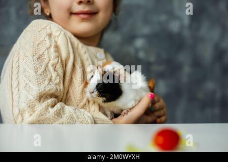 Unrecognizable cropped smiling little girl holding small spotty guinea pig near table with vegetables. Best fur friend Stock Photo