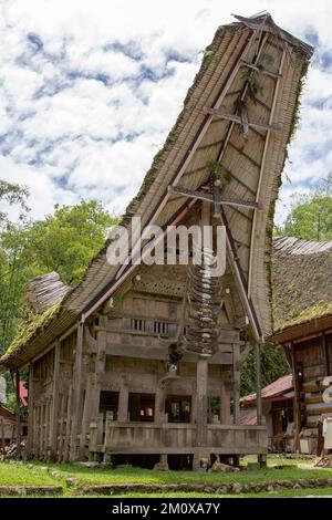 Tongkonan traditional house area in Toraja, South Sulawesi, Indonesia Stock Photo