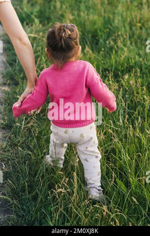 Rear view of a baby girl walking through a meadow with green grass. Kid exploring nature. Stock Photo