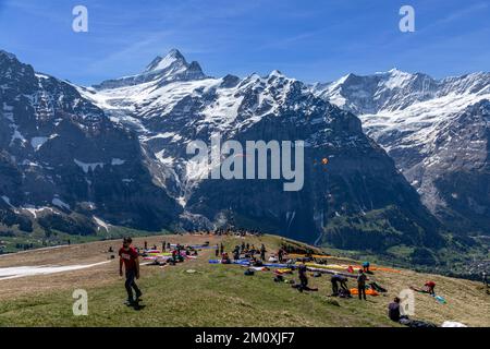 Large group of paragliders waiting at First mountain in Switzerland for the perfect wind conditions so they can take off to the skies. Stock Photo