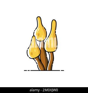 Yellow magic mushrooms on isolated wight background. Stock Vector