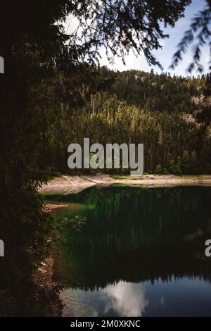 A vertical shot of the Black lake surrounded by Durmitor mountains in ...