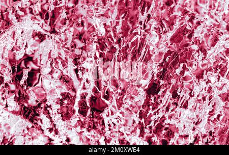 Transparent dark blue ice of frozen Baikal lake with white cracks pattern. Beautiful winter nature background. Toned image in trendy magenta color of year 2023. Stock Photo