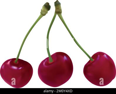 Photorealistic vector illustration of cherries Stock Vector
