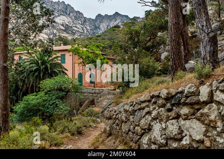 The garden in the visitor center, in the isle of Montecristo, part of the Tuscan Archipelago. It's a state nature reserve in Mediterranean Sea, Italy Stock Photo