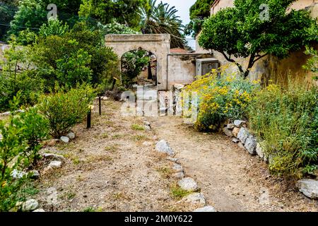 The garden in the visitor center, in the isle of Montecristo, part of the Tuscan Archipelago. It's a state nature reserve in Mediterranean Sea, Italy Stock Photo