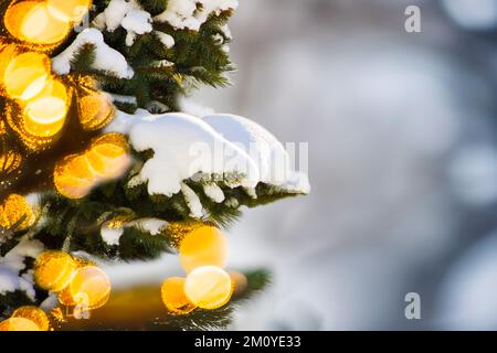 Fresh snow on Christmas pine tree with deliberate bokeh lights effect and copy space. Happy holidays and Christmas theme background. Stock Photo