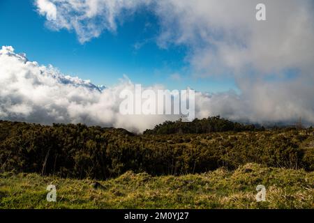 Grassy meadow and hills below a dramatic sky with a clearing storm and fog in the uploads of Maui Stock Photo