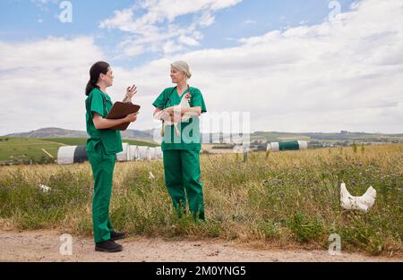Discussing treatment and care options. two veterinarians having a discussion on a poultry farm. Stock Photo