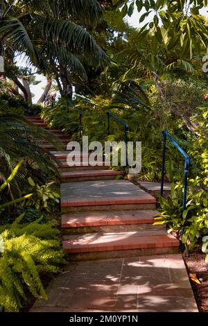Vertical view of stairs and path curving through lush green foliage in a tropical garden depicting theme of wellness Stock Photo