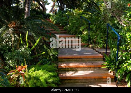 Stairs and path curving through lush green foliage in a tropical garden depicting theme of well-being Stock Photo