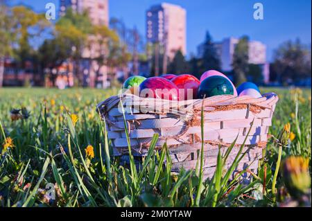 Easter eggs in wicker basket on green meadow Stock Photo