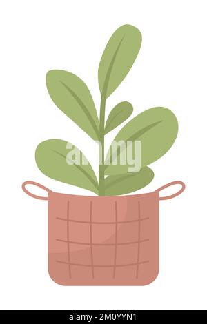Houseplant in wicker basket semi flat color vector object Stock Vector
