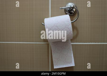 Toliet paper roll placed on a toliet paper holder inside of a restroom stall Stock Photo