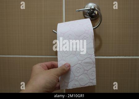 Toliet paper roll placed on a toliet paper holder inside of a restroom stall Stock Photo
