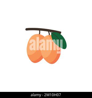Ximenia Caffra Flat design clip art vector illustration isolated on a white background Stock Vector