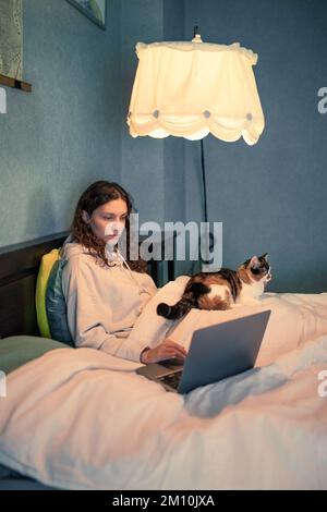 Working from home with a cat Stock Photo