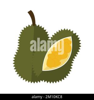 Jackfruit Flat design clip art vector illustration isolated on a white background Stock Vector