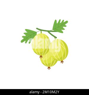 Gooseberries Flat design clip art vector illustration isolated on a white background Stock Vector